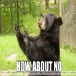 how about no bear.jpg